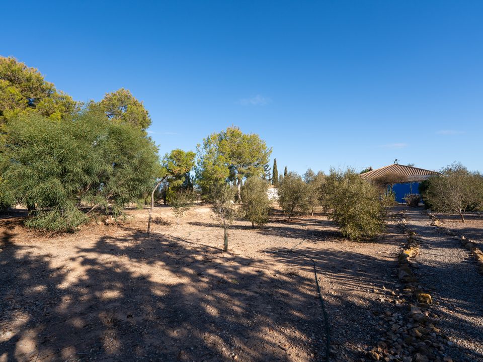Finca a Gea Y Truyols, Murcia - foto 4